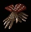 Bild 1 von Chance Guards 40 Mf 30ED Softcore Resurrected NL