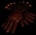 Bild 1 von Draculs Grasp 10 LL 15 STR Softcore Resurrected Ladder