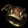 Soj The Stone Of Jordan Softcore Resurrected NL